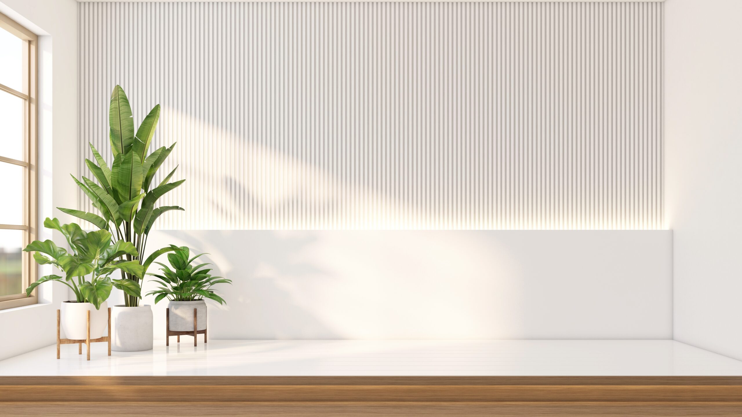 summer cleaning and its importance shining through the window